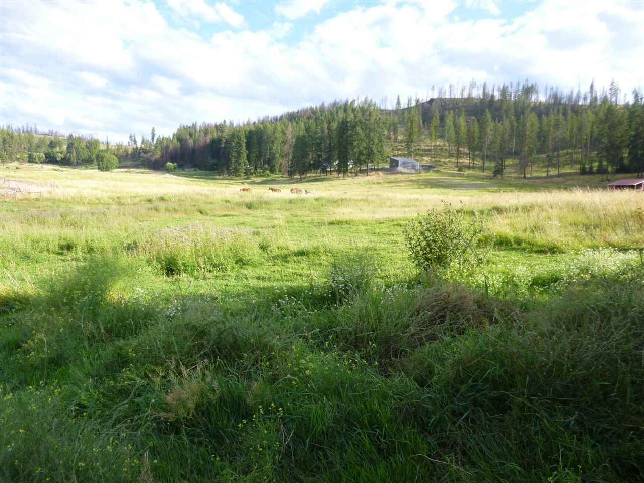 976 A Philpott Road Colville, WA 99114 - Photo 4 of 17
