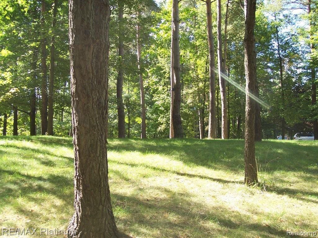 4107 Center Road Linden, MI 48451 - Photo 39 of 40 PRISTINE PARCEL JPG