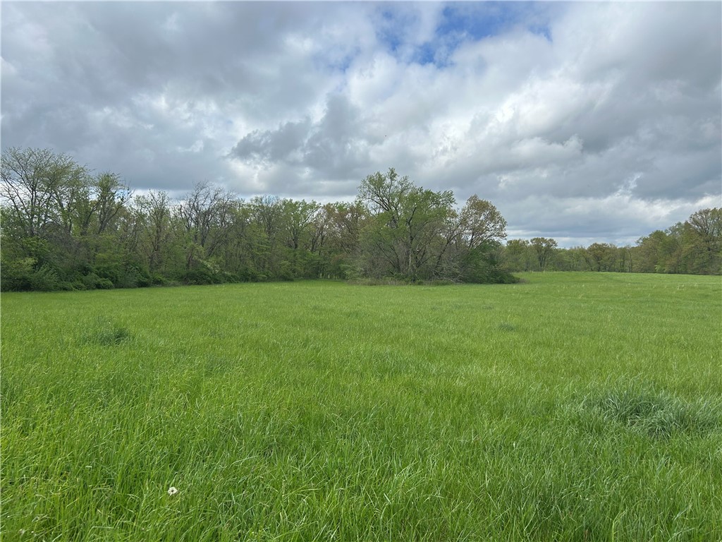 9022 Sheets Road Argenta, IL 62501 - Photo 7 of 45