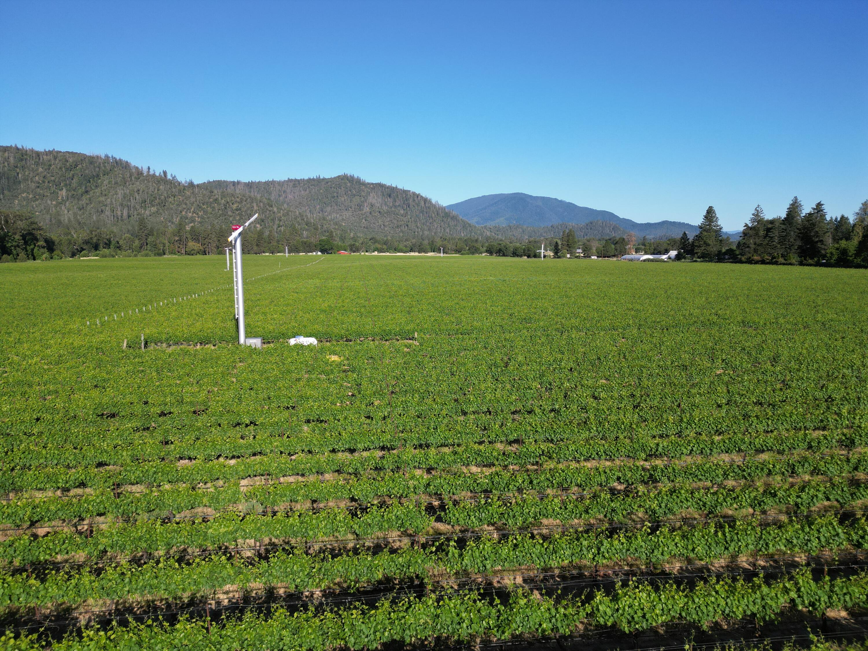 18485 North Applegate Road Grants Pass, OR 97527 - Photo 13 of 21 DJI_0242
