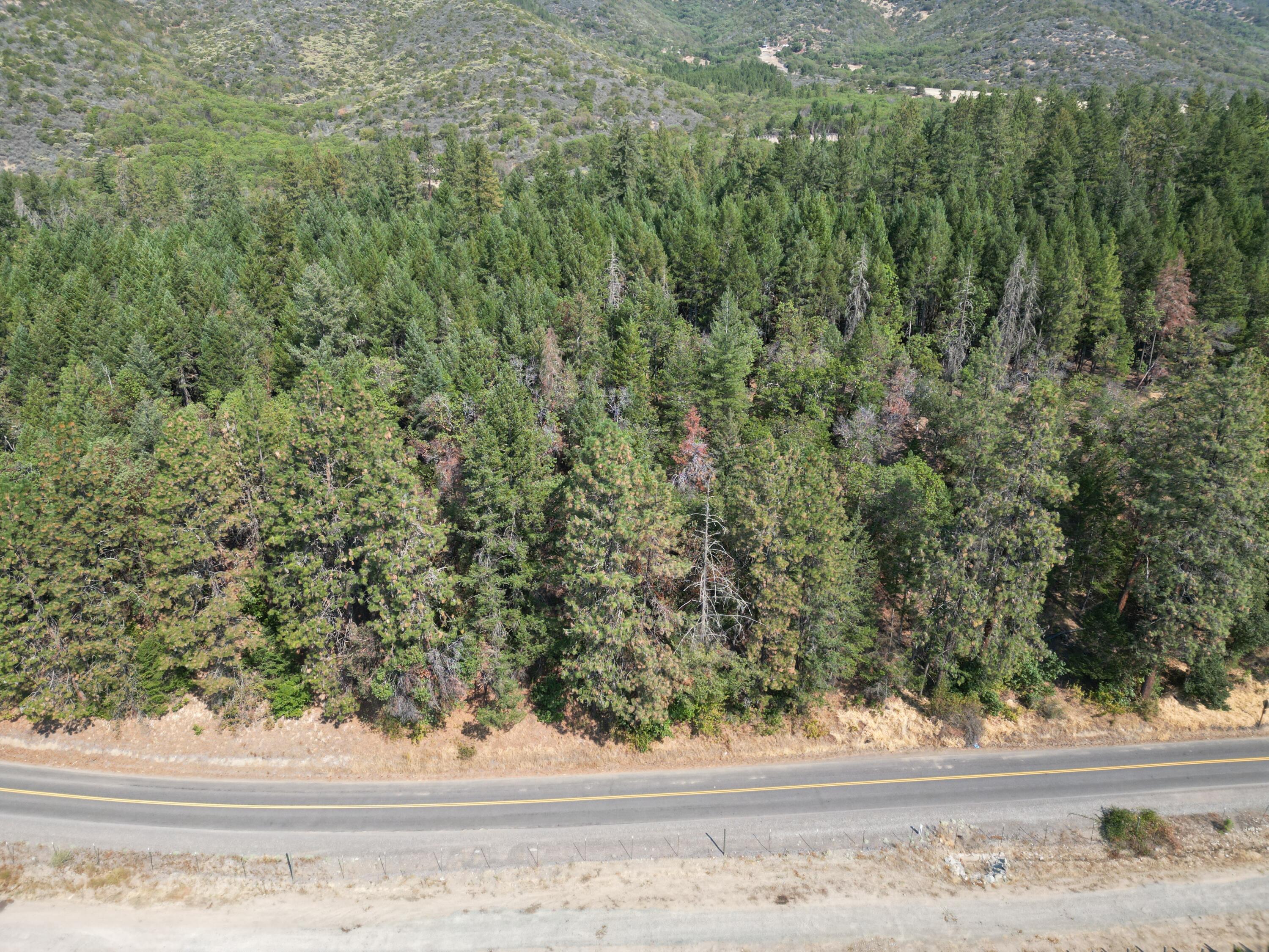 18485 North Applegate Road Grants Pass, OR 97527 - Photo 16 of 21 11 acres across N Applegate with development potential
