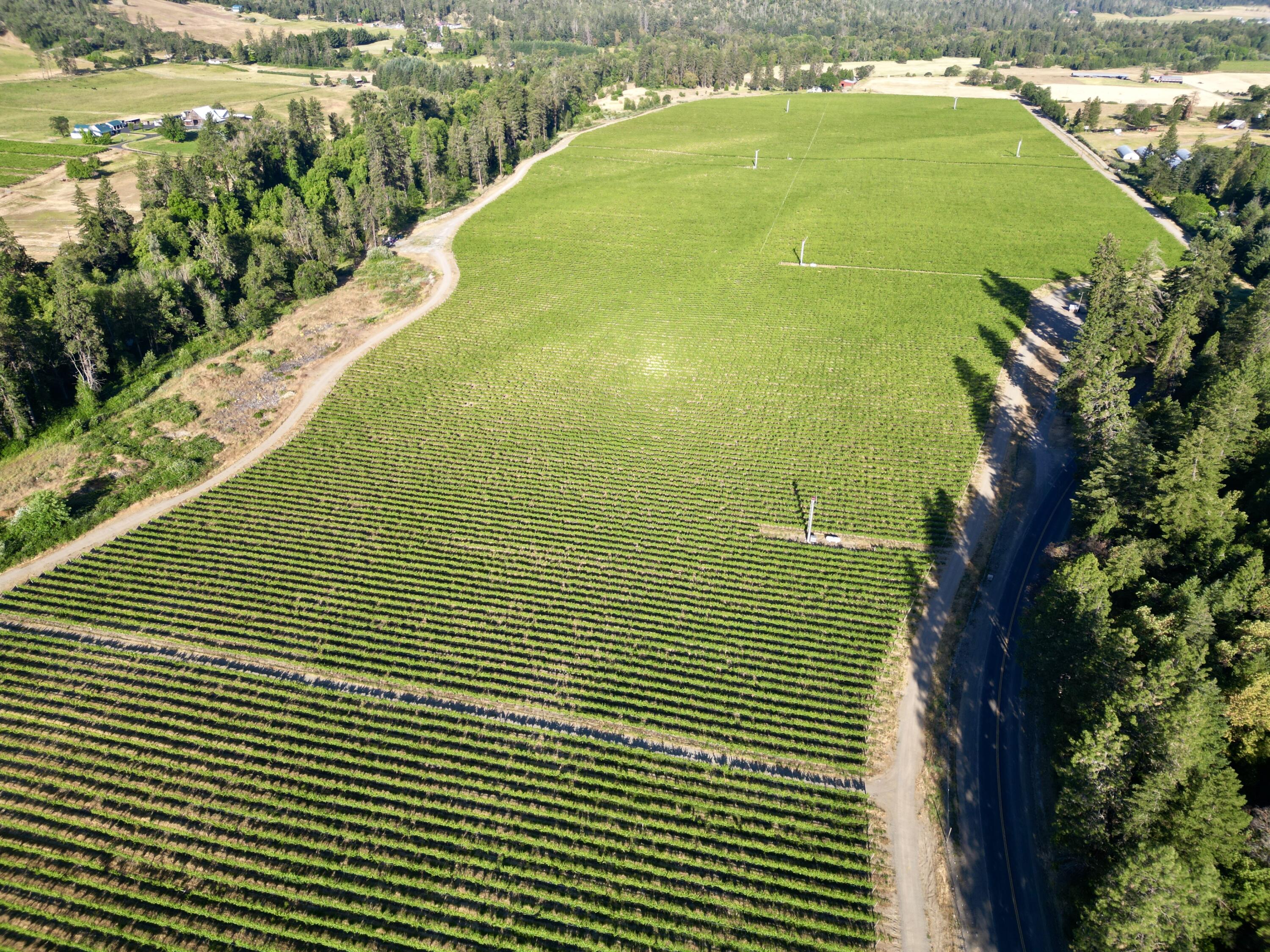 18485 North Applegate Road Grants Pass, OR 97527 - Photo 2 of 21 DJI_0236