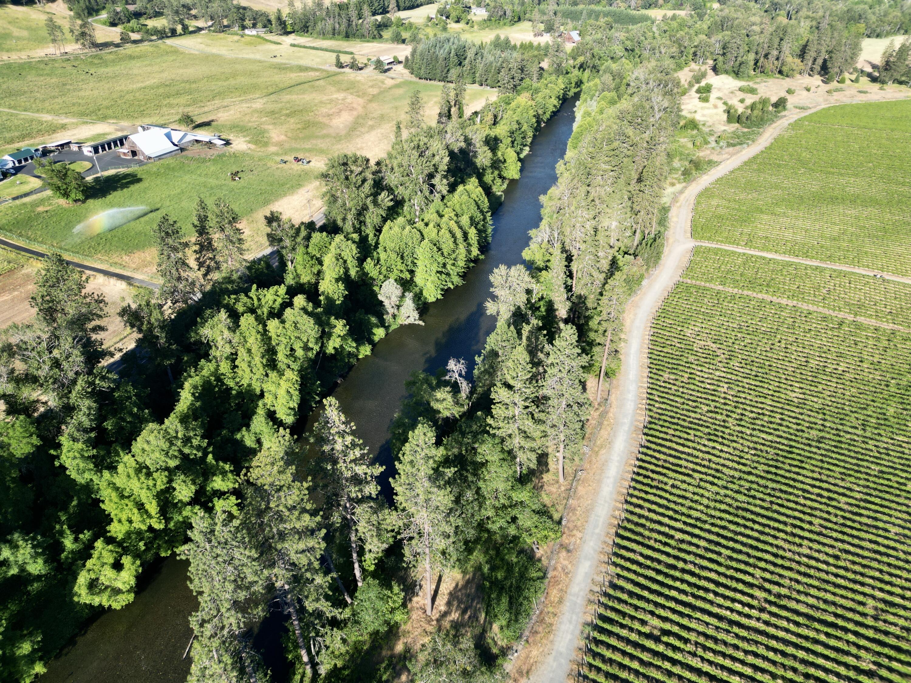 18485 North Applegate Road Grants Pass, OR 97527 - Photo 3 of 21 1/2-mile Applegate River Frontage
