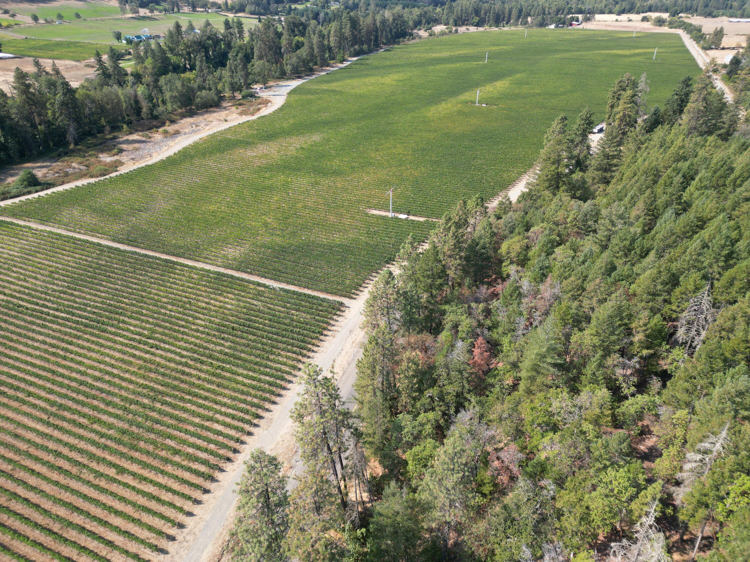 18485 North Applegate Road Grants Pass, OR 97527 - Photo 6 of 21 DJI_0055