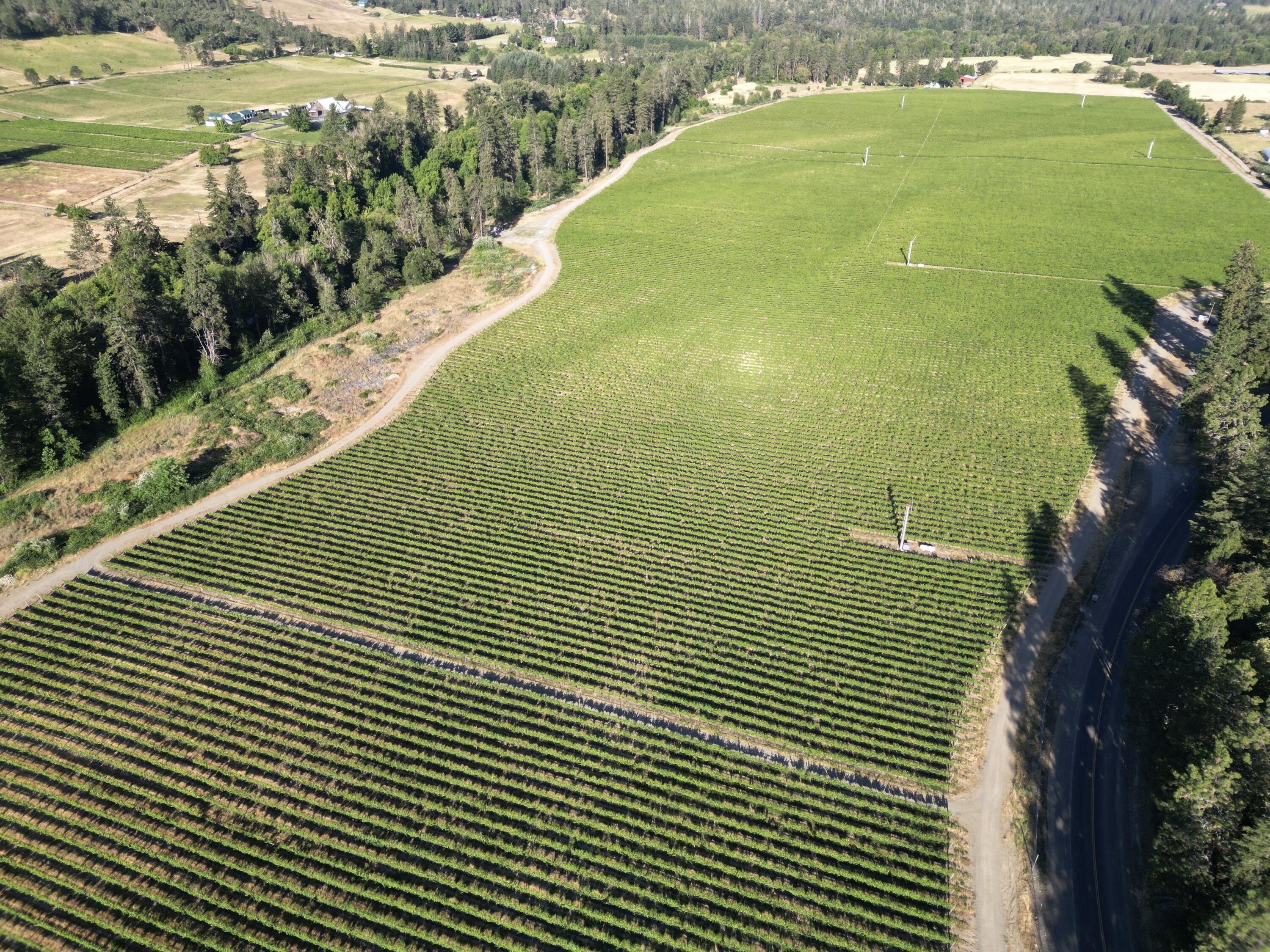 18485 North Applegate Road Grants Pass, OR 97527 - Photo 10 of 21 DJI_0237
