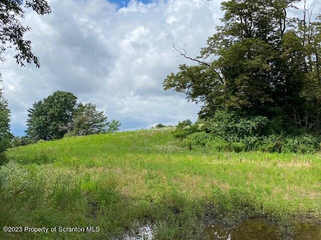 Lot 6 Stone Road Dalton, PA 18414 - Photo 6 of 7 a view of a garden