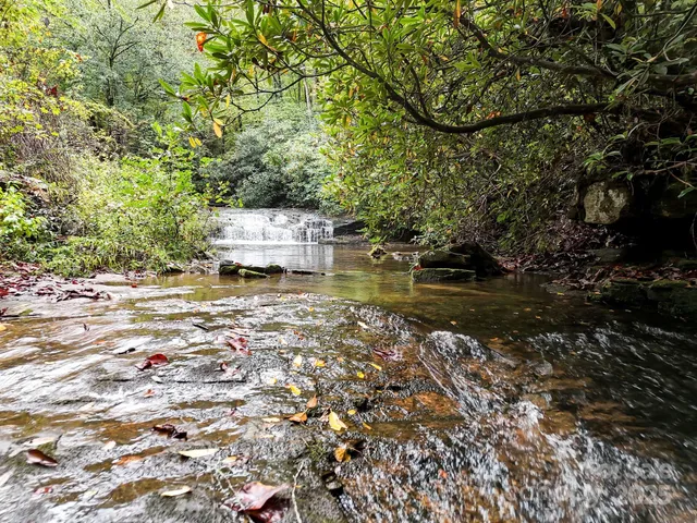 $650,000 | 800 Williamson Creek Road, Pisgah Forest, NC 28768