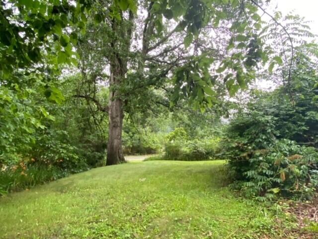2952 North Fork Road Elliston, VA 24087 - Photo 21 of 27 25