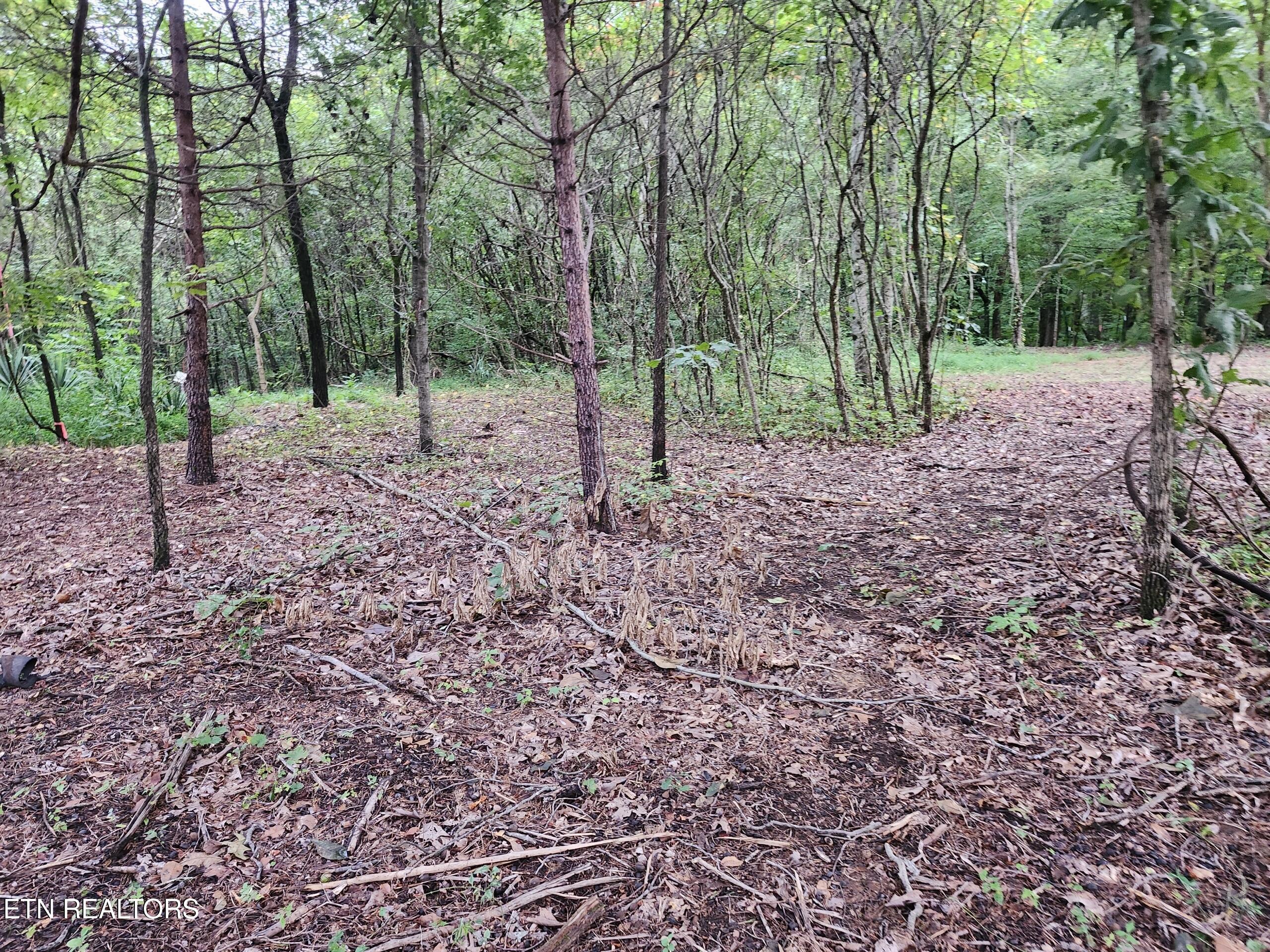 Black Oak Road Road Clinton, TN 37716 - Photo 1 of 8 Black Oak Small 5