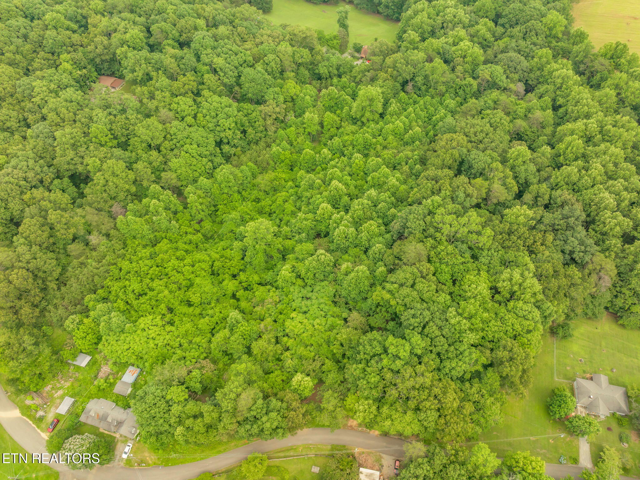 Black Oak Road Road Clinton, TN 37716 - Photo 7 of 8 black oak--
