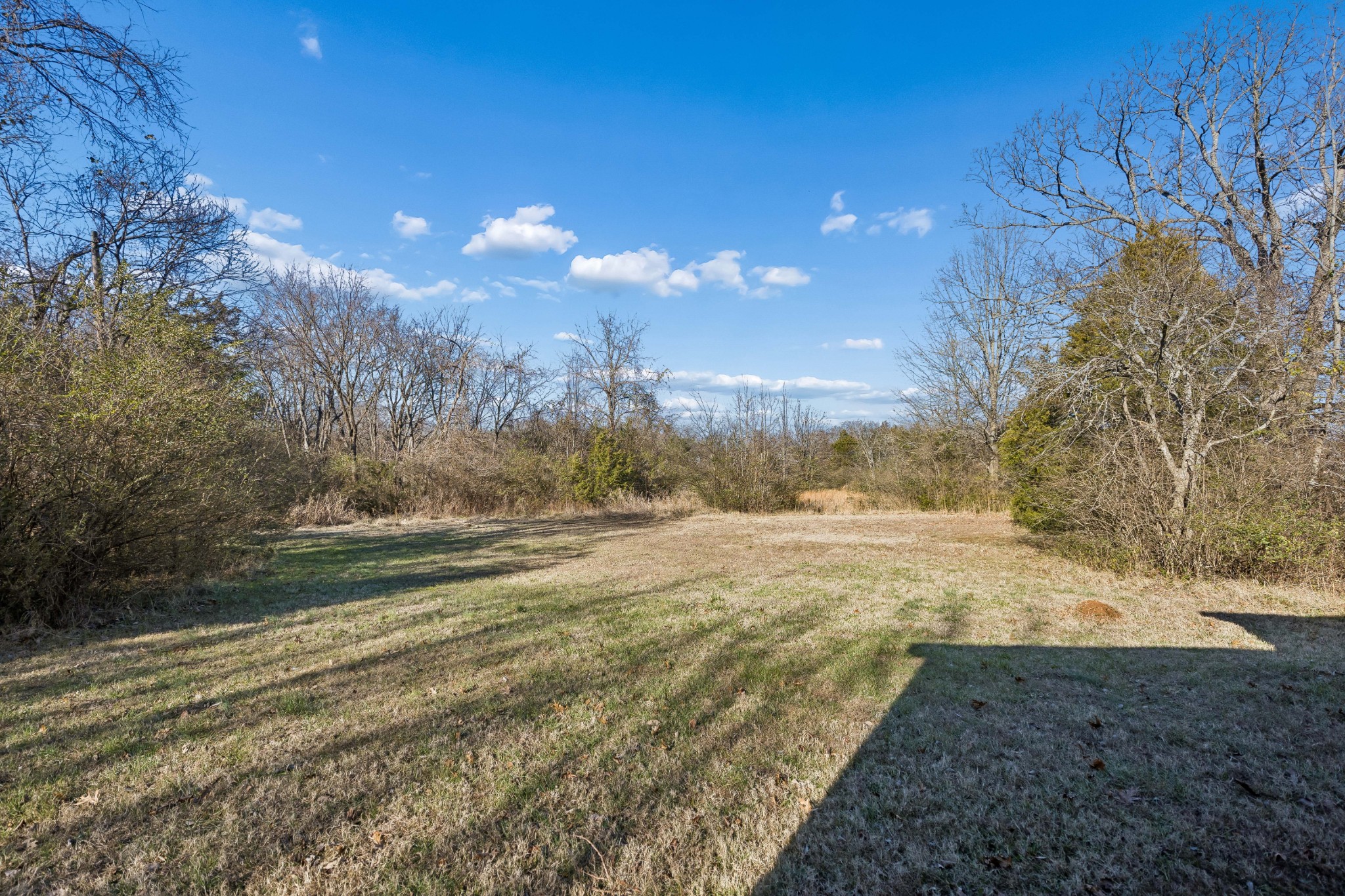 774 Enon Springs Road West Smyrna, TN 37167 - Photo 22 of 25 a view of a yard with a house