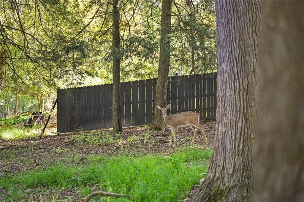 3024 East Bardonner Road Gibsonia, PA 15044 - Photo 43 of 50 Gallery Image 43