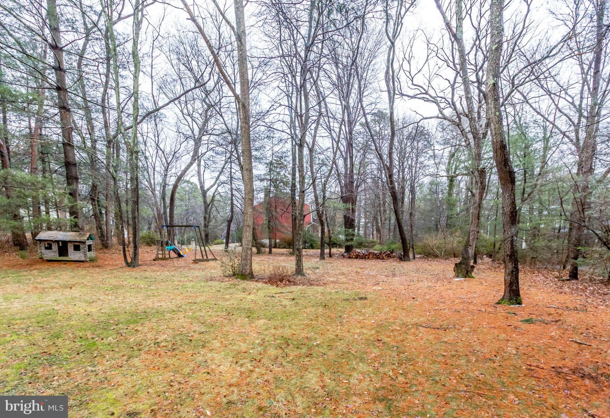 11001 Howland Drive Reston, VA 20191 - Photo 40 of 41 One of a kind backyard right under half an acre