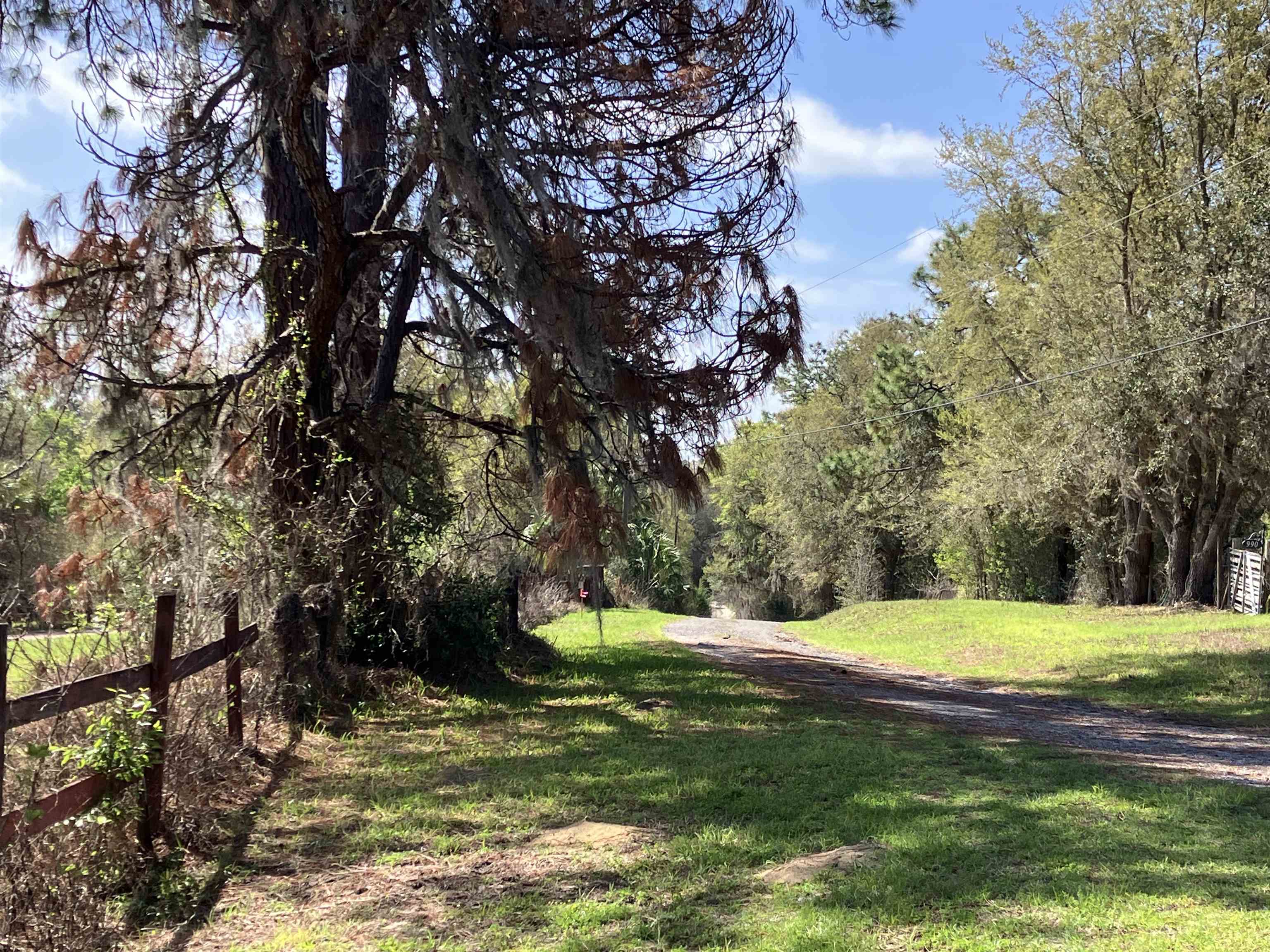 1083 North Obrien Point Lecanto, FL 34461 - Photo 11 of 13 a view of a playground with a tree