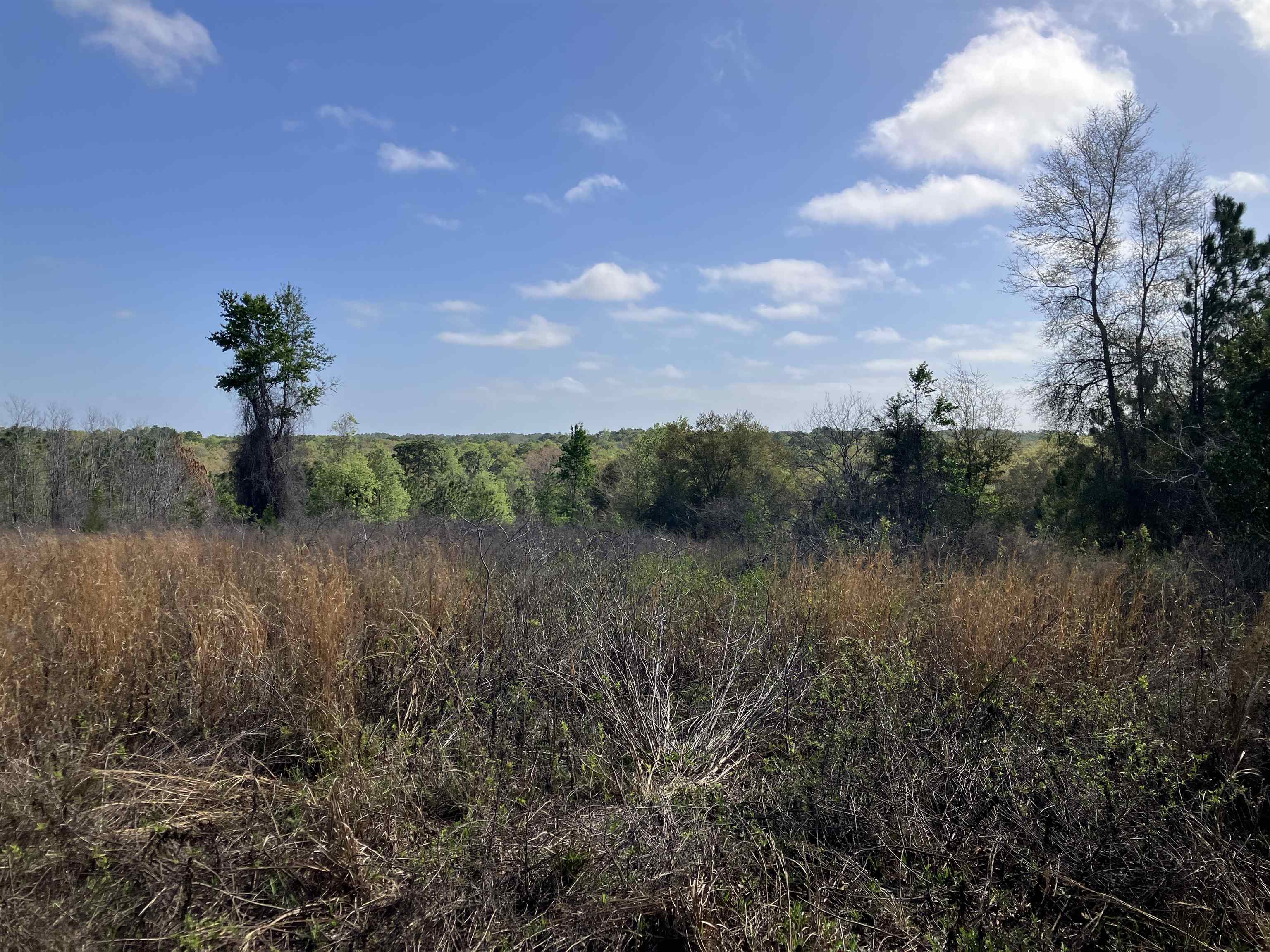 1083 North Obrien Point Lecanto, FL 34461 - Photo 2 of 13