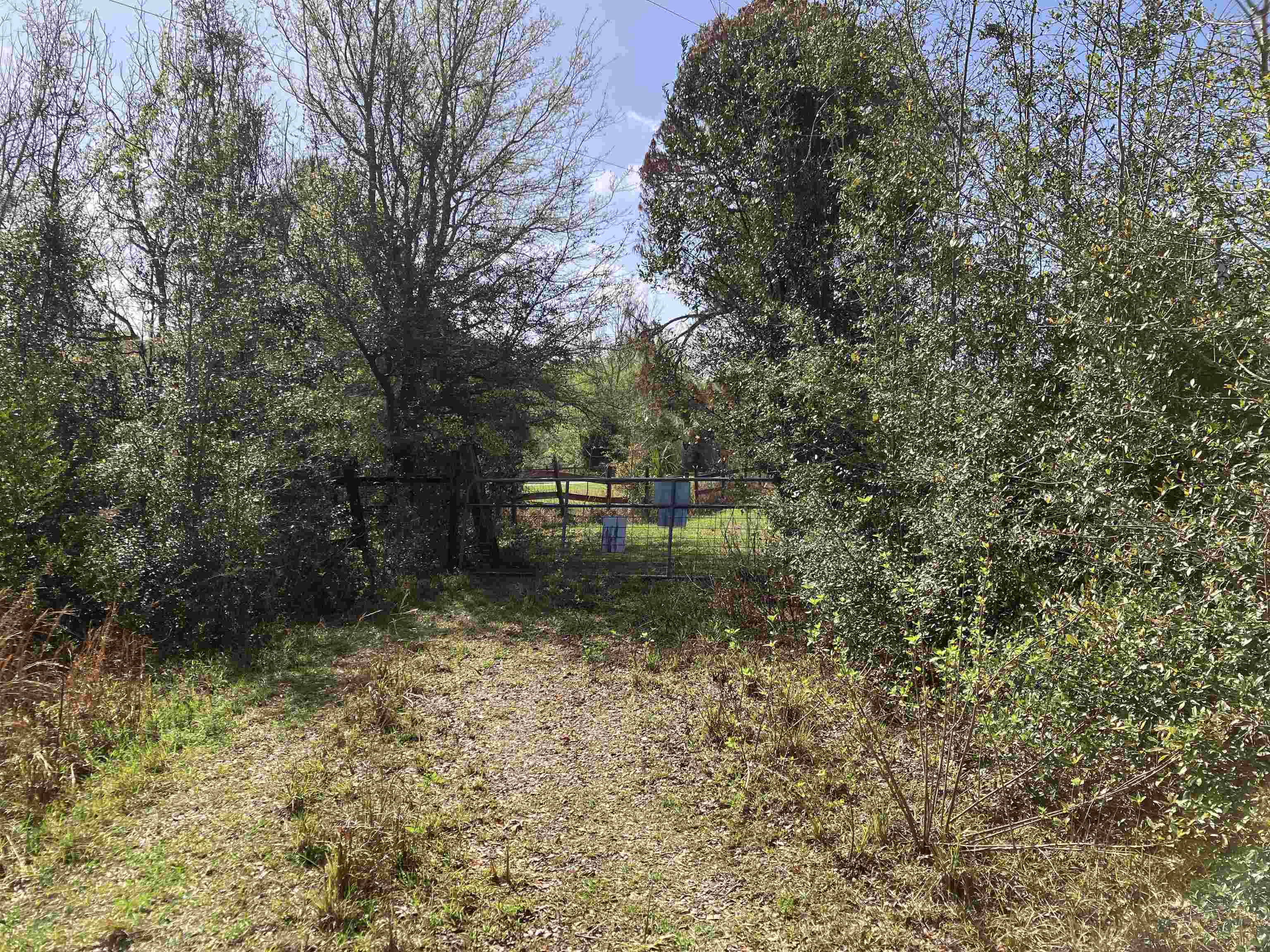 1083 North Obrien Point Lecanto, FL 34461 - Photo 3 of 13 a view of a yard