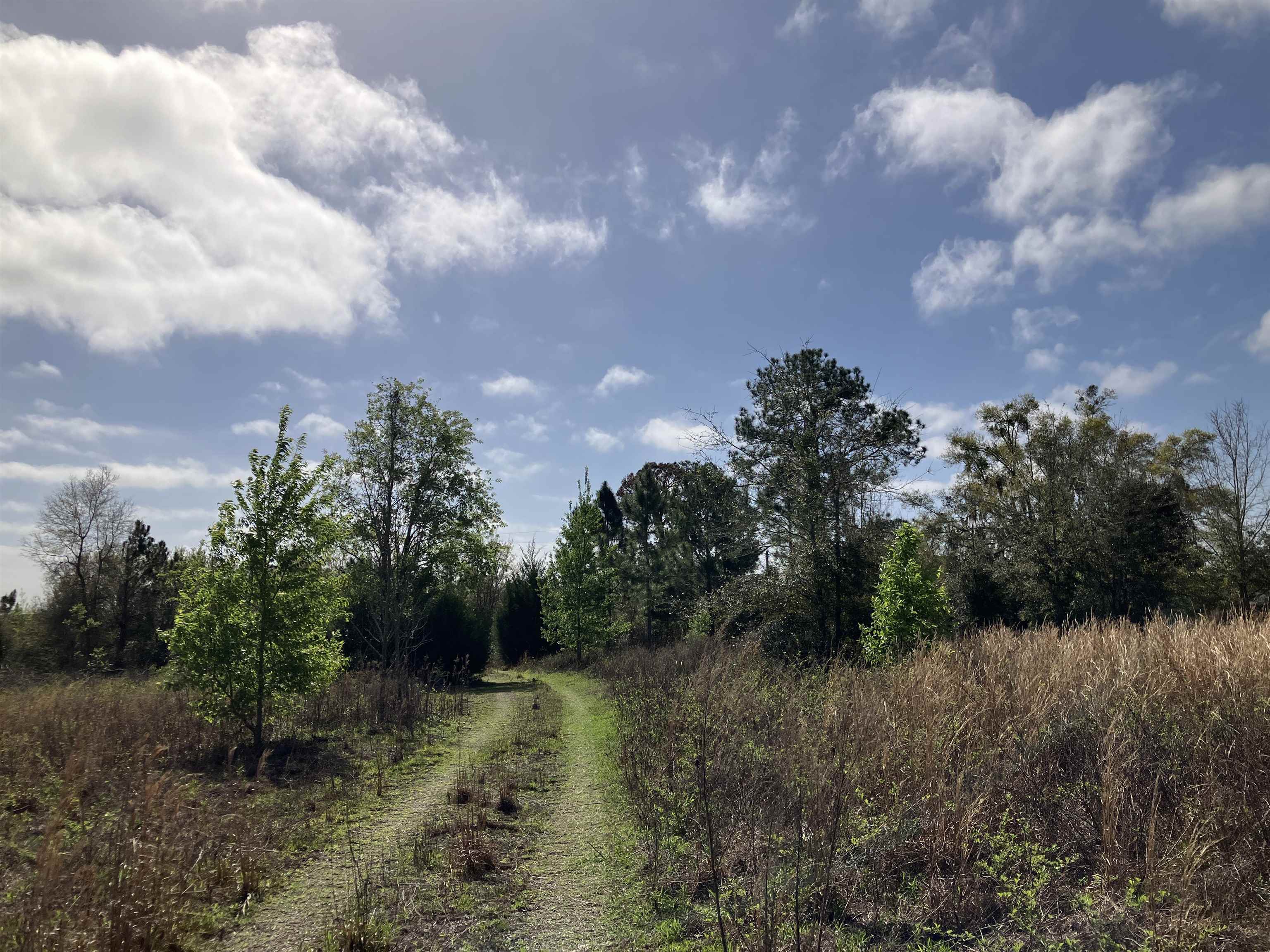 1083 North Obrien Point Lecanto, FL 34461 - Photo 8 of 13