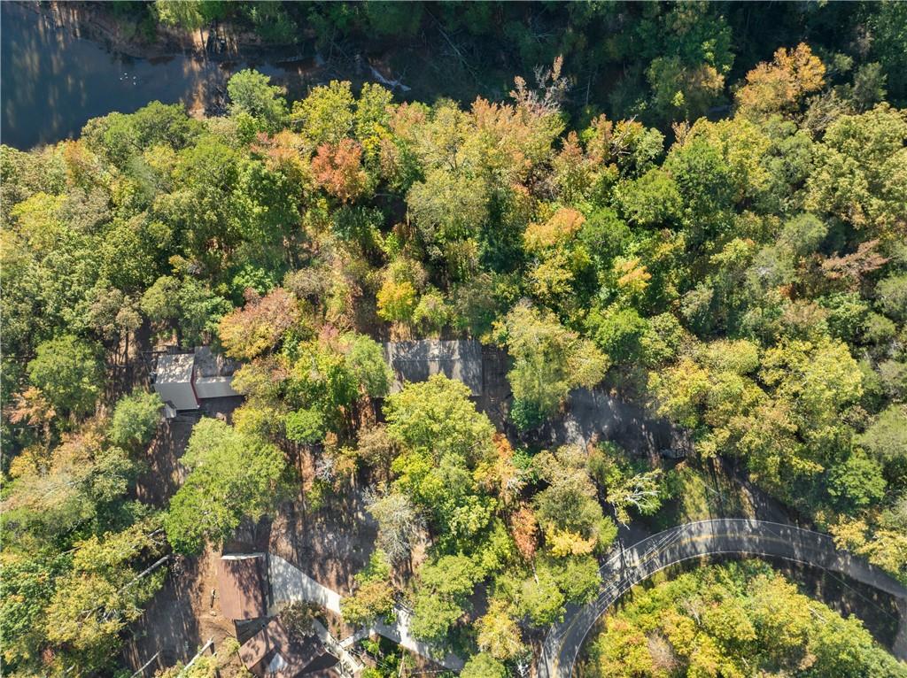 773 Shorewood Circle Toccoa, GA 30577 - Photo 34 of 39 a view of a bunch of flowers