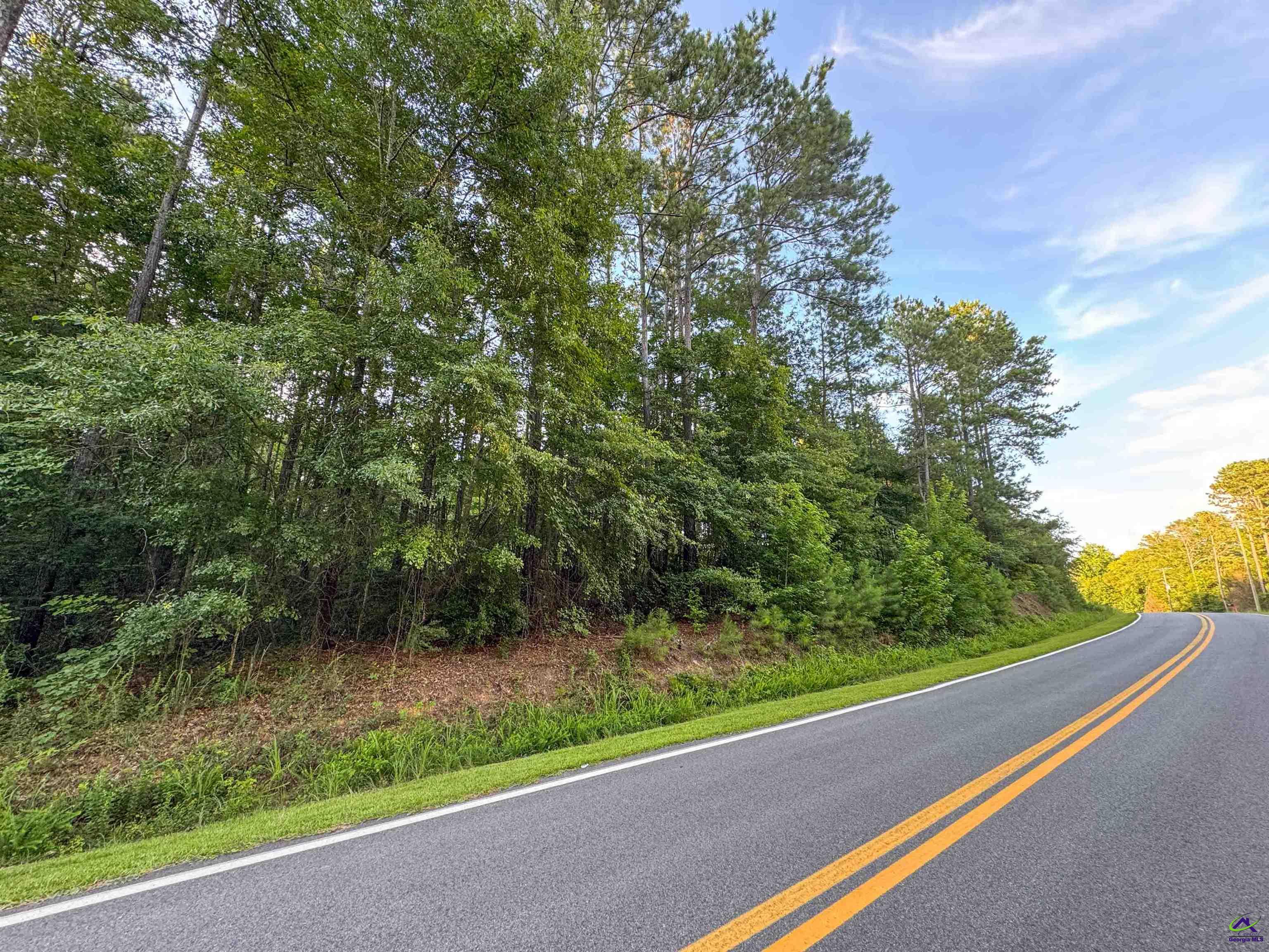 12.6-acres Hicks Road Roberta, GA 31078 - Photo 15 of 17