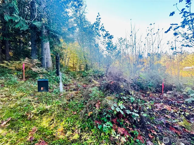 a backyard of a house with lots of trees