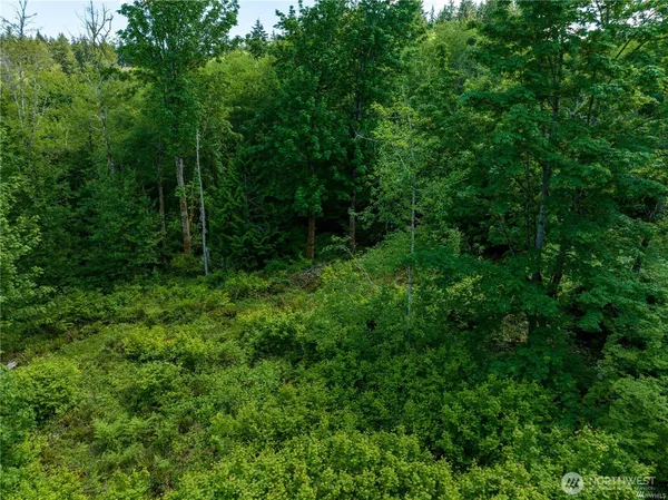 a view of a green field with lots of bushes