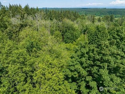 0 Valley Ridge Road Chehalis, WA 98532 - Photo 4 of 5 a view of a green field with lots of bushes