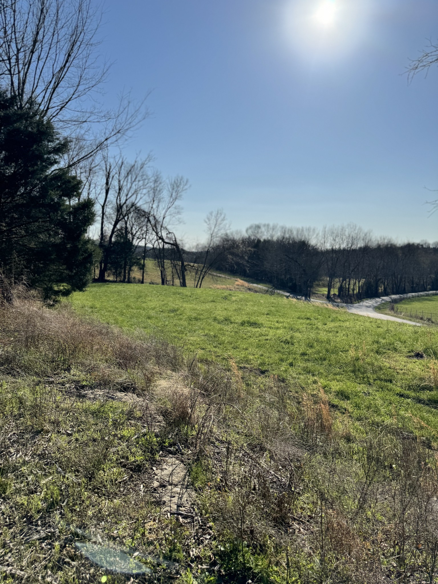 0 Hix Road Gordonsville, TN 38563 - Photo 11 of 12 a view of a field of grass and trees