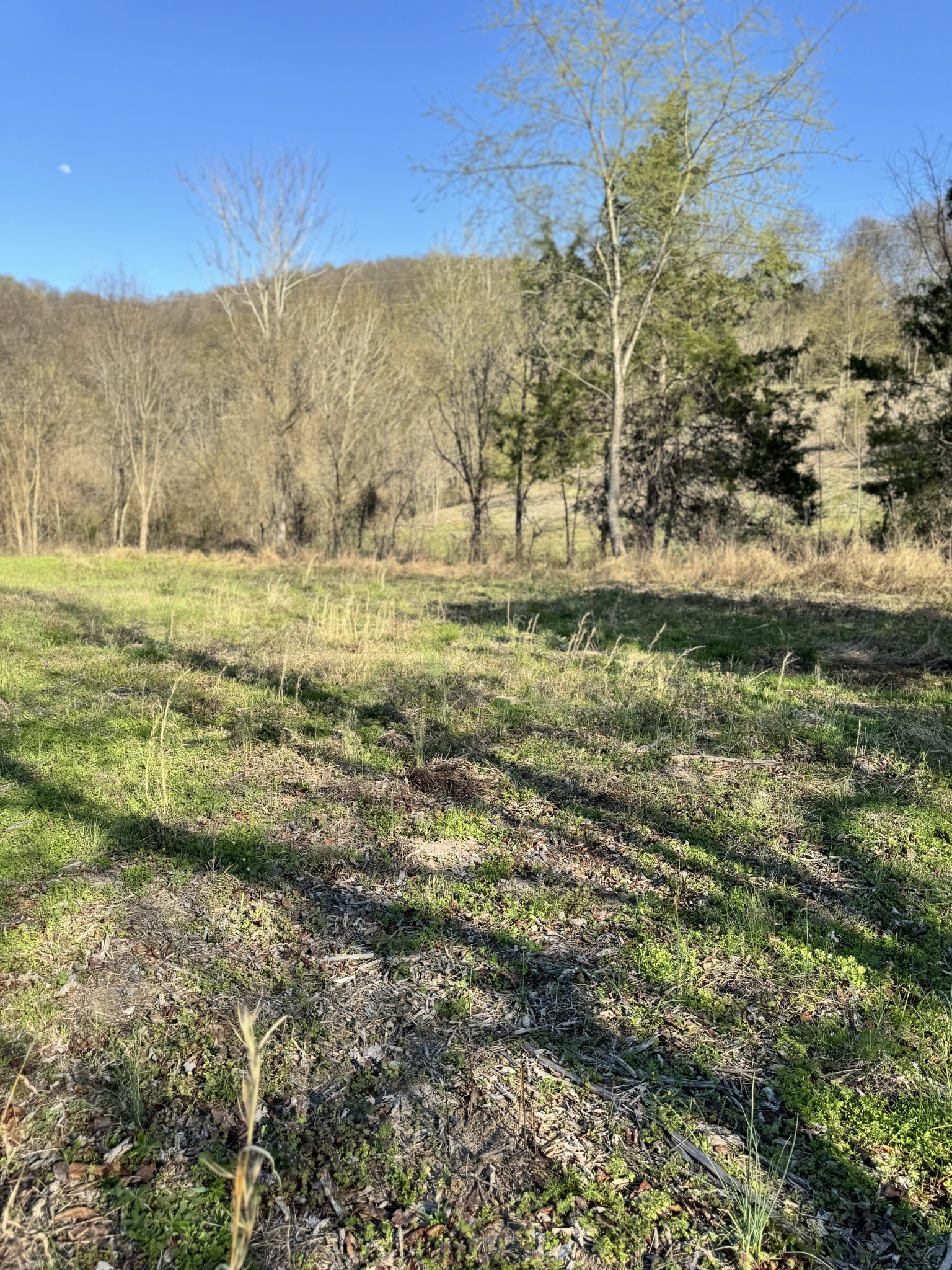 0 Hix Road Gordonsville, TN 38563 - Photo 12 of 12 a view of mountain view with mountains in the background
