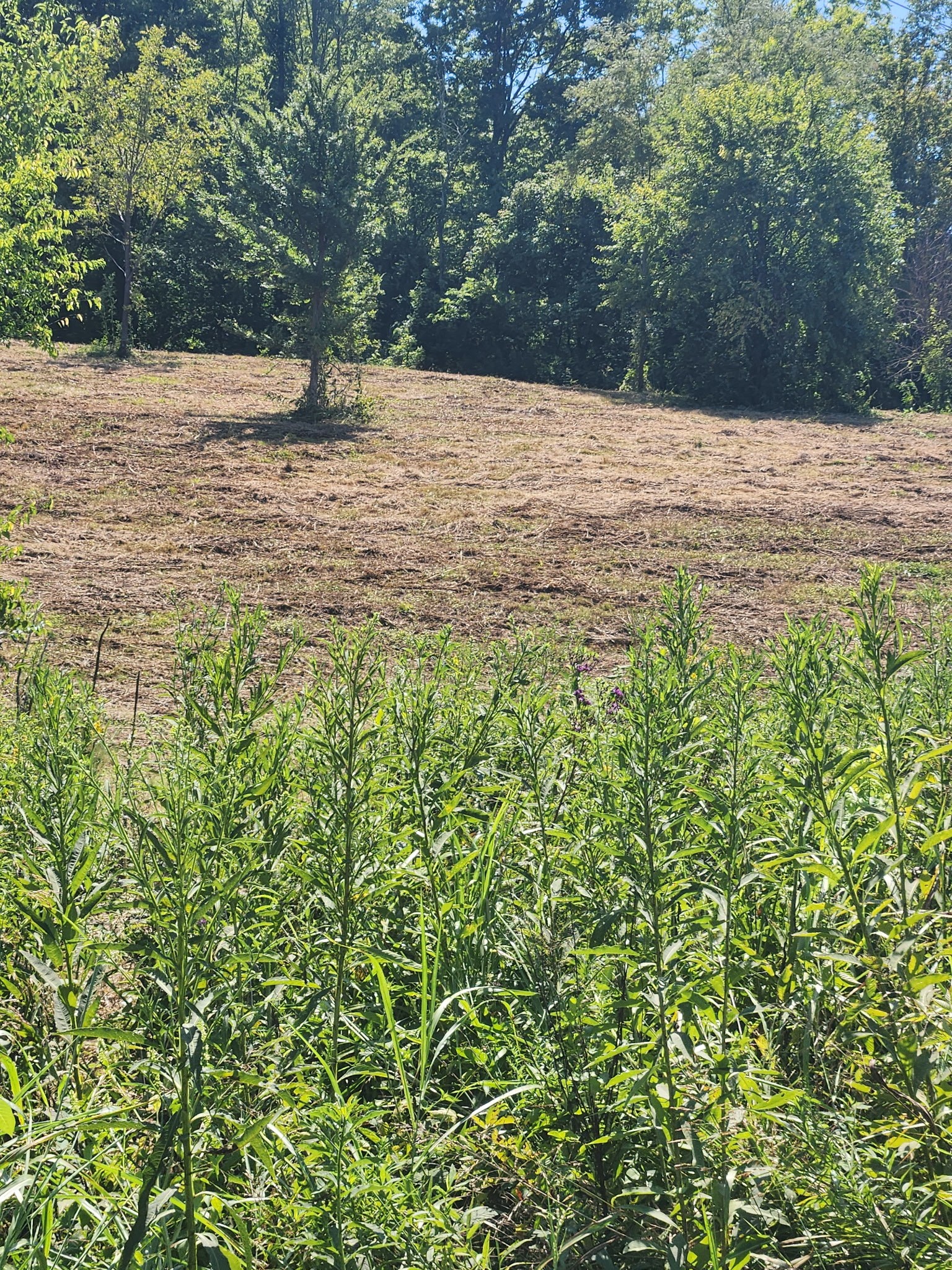 0 Hix Road Gordonsville, TN 38563 - Photo 2 of 12 a view of outdoor space and yard
