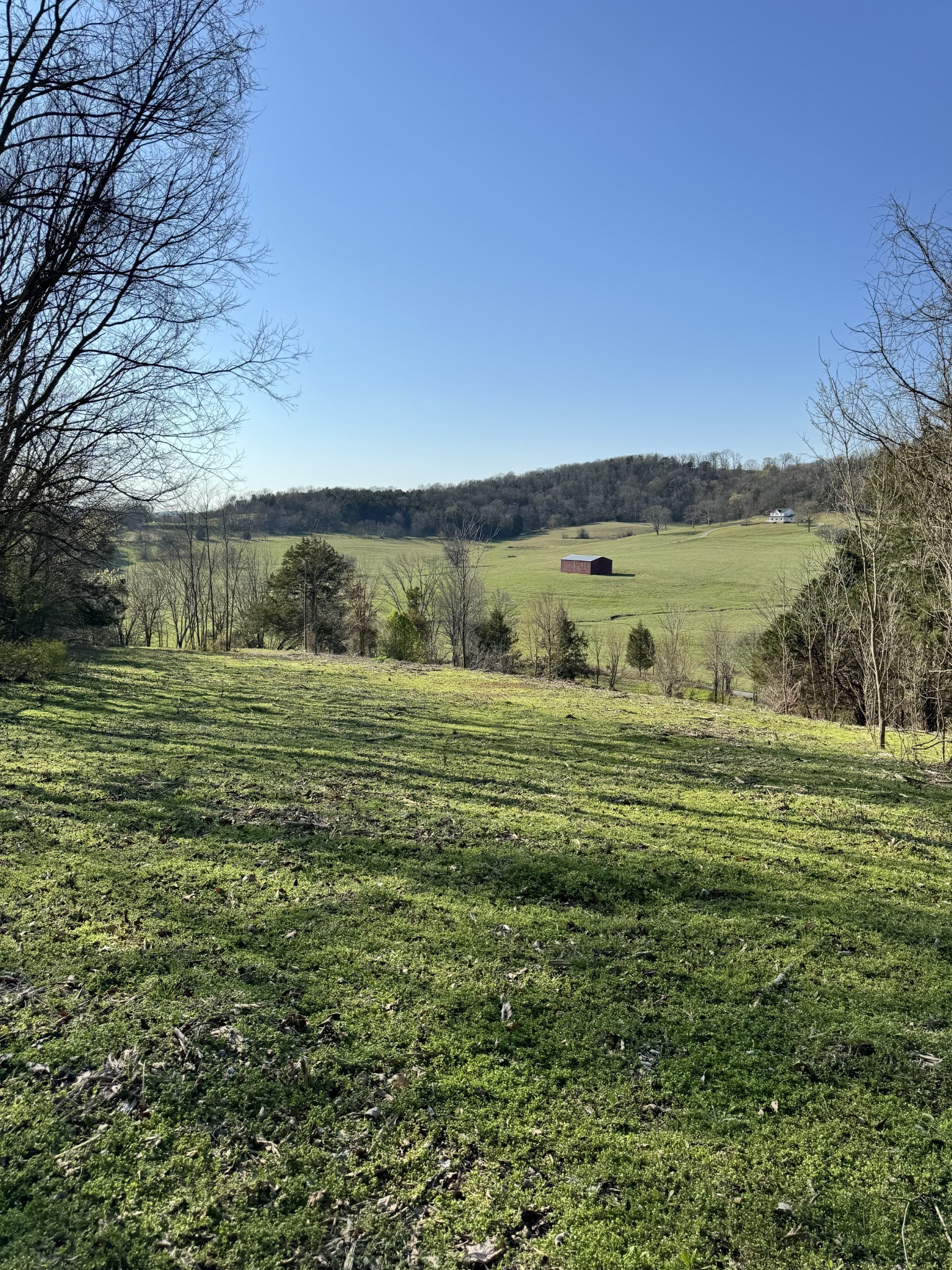 0 Hix Road Gordonsville, TN 38563 - Photo 3 of 12 a view of a field with an ocean