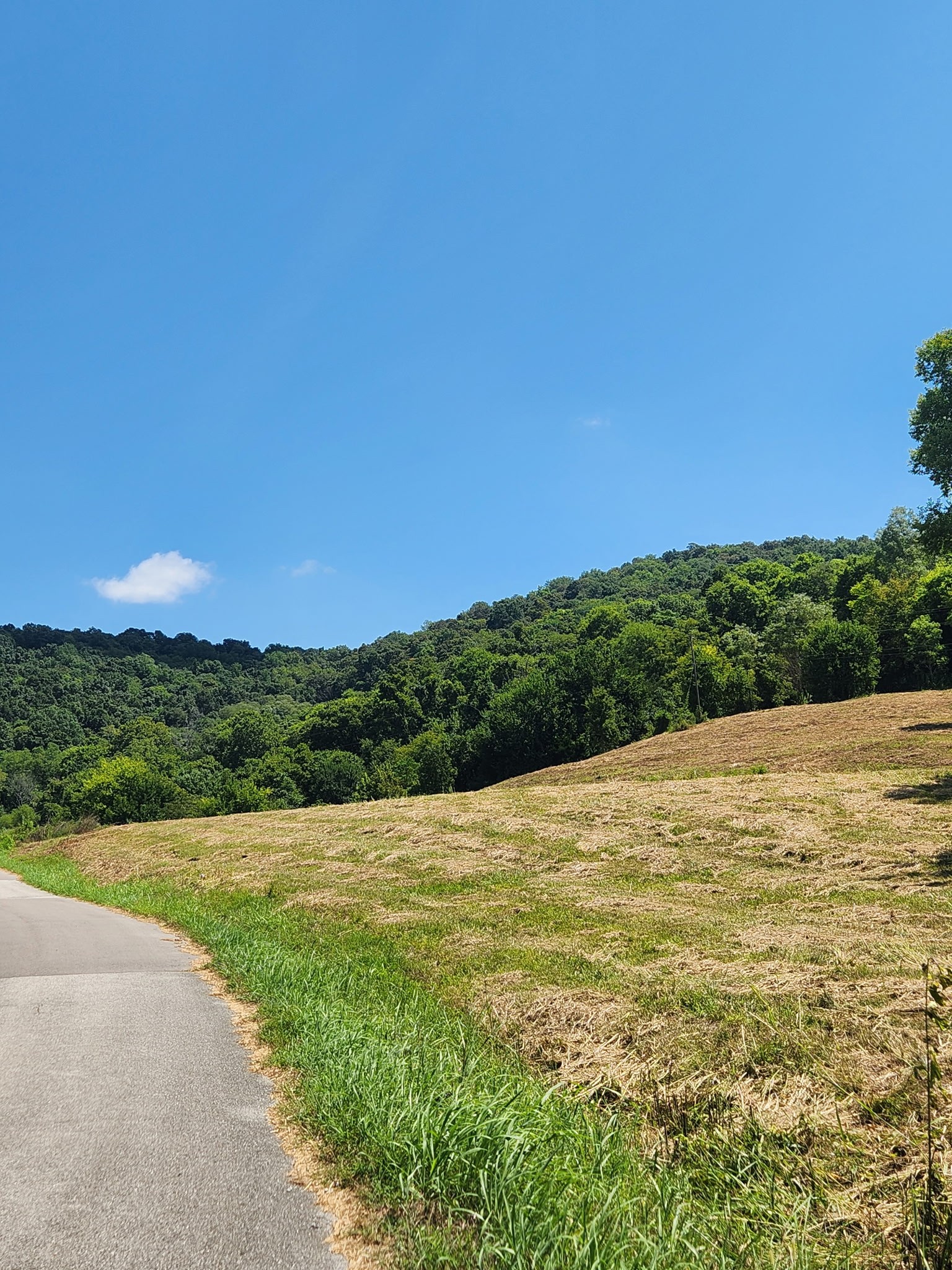 0 Hix Road Gordonsville, TN 38563 - Photo 4 of 12 a view of an outdoor space with a lake view