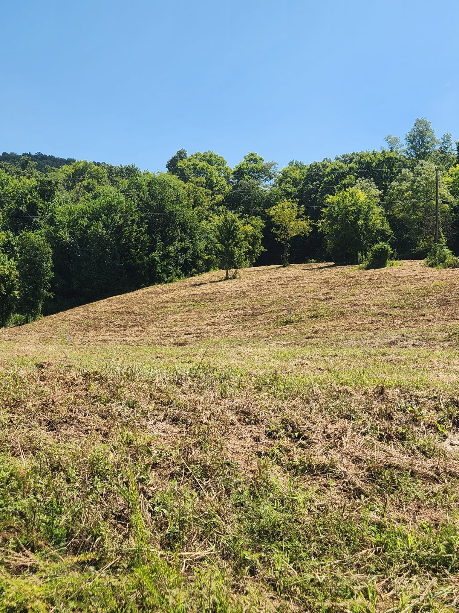 0 Hix Road Gordonsville, TN 38563 - Photo 5 of 12 a view of a large yard with an outdoor space