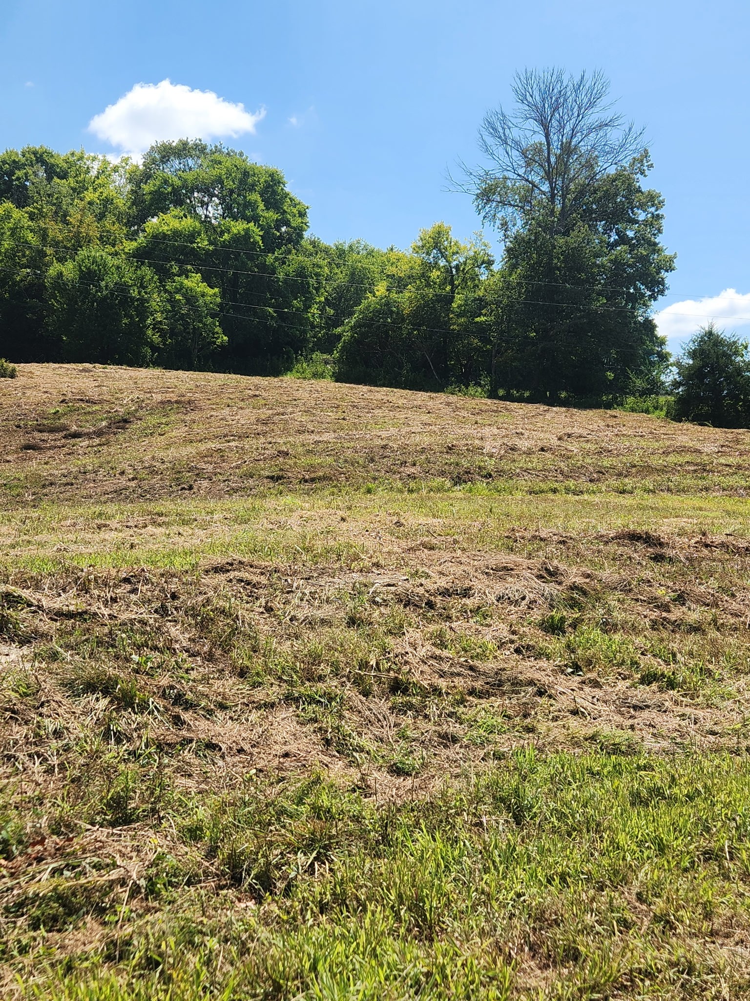 0 Hix Road Gordonsville, TN 38563 - Photo 6 of 12 a view of a lake view