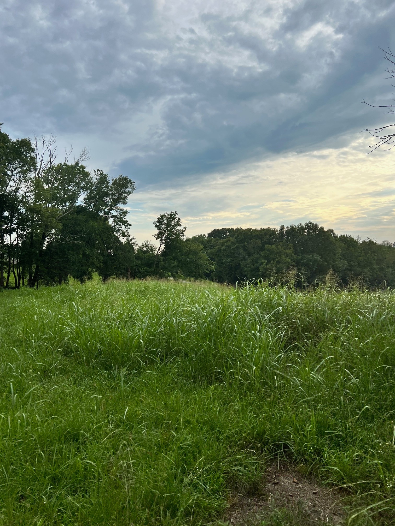 0 Hix Road Gordonsville, TN 38563 - Photo 8 of 12 a view of outdoor space and yard