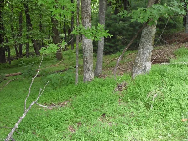 $87,500 | Tbd Long View Circle, Glade Valley, NC 28627