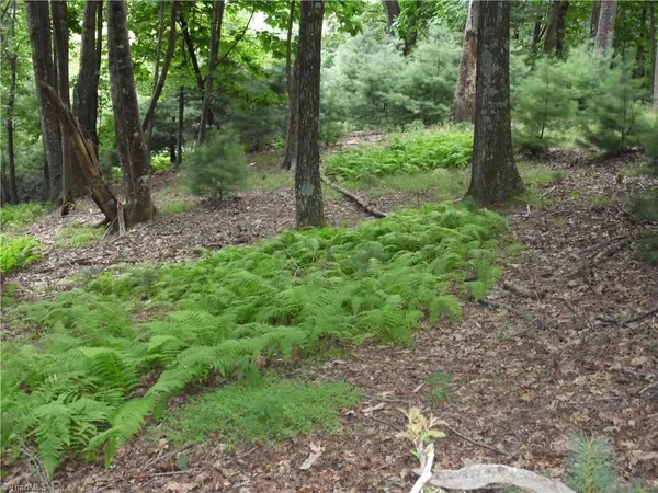 $87,500 | Tbd Long View Circle, Glade Valley, NC 28627