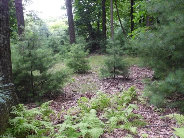 $87,500 | Tbd Long View Circle, Glade Valley, NC 28627