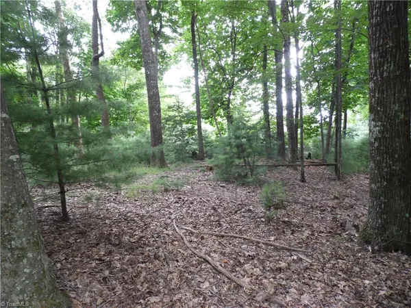 $87,500 | Tbd Long View Circle, Glade Valley, NC 28627