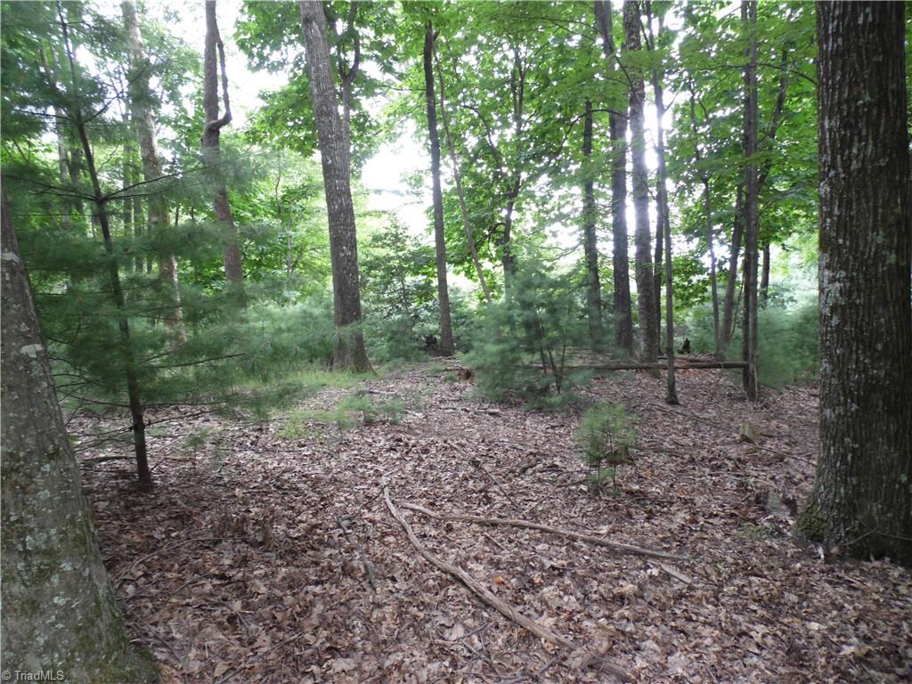 Tbd Long View Circle Glade Valley, NC 28627 - Photo 3 of 14