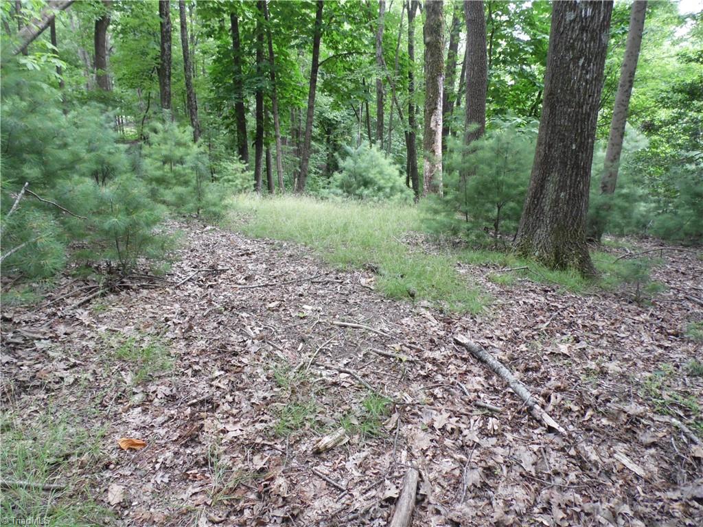 Tbd Long View Circle Glade Valley, NC 28627 - Photo 5 of 14