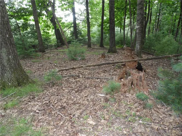 $87,500 | Tbd Long View Circle, Glade Valley, NC 28627