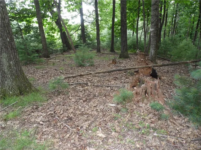 $87,500 | Tbd Long View Circle, Glade Valley, NC 28627