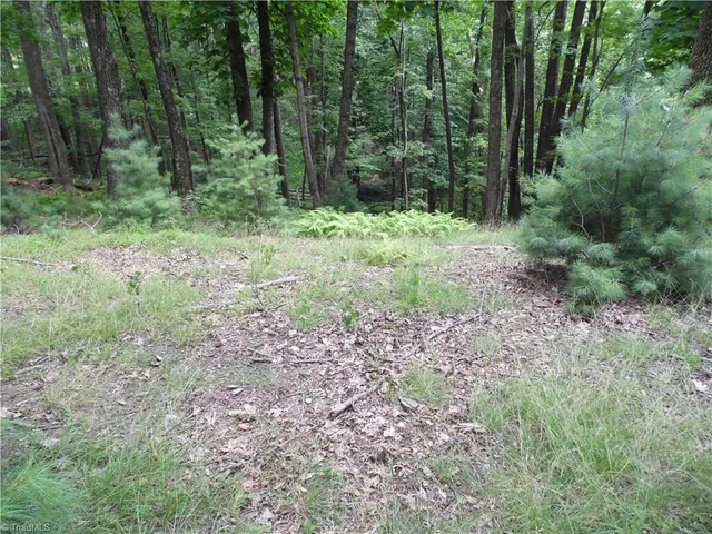 $87,500 | Tbd Long View Circle, Glade Valley, NC 28627