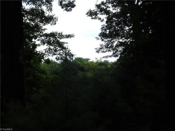 $87,500 | Tbd Long View Circle, Glade Valley, NC 28627