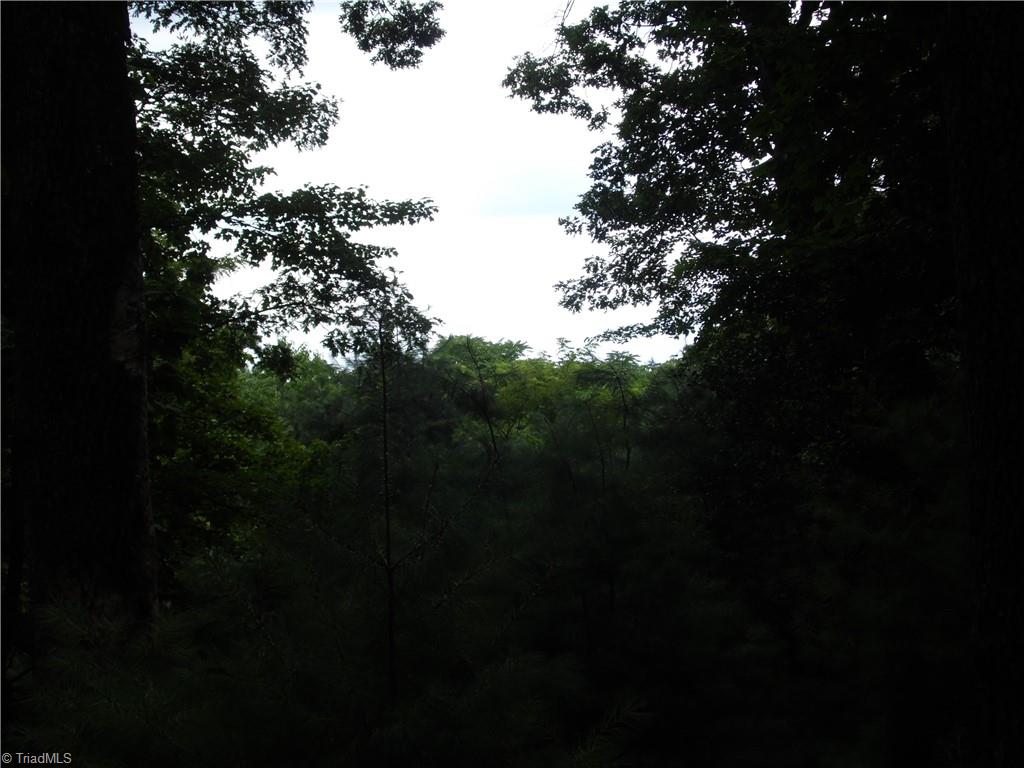 Tbd Long View Circle Glade Valley, NC 28627 - Photo 8 of 14