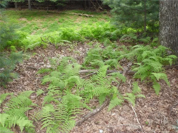 $87,500 | Tbd Long View Circle, Glade Valley, NC 28627