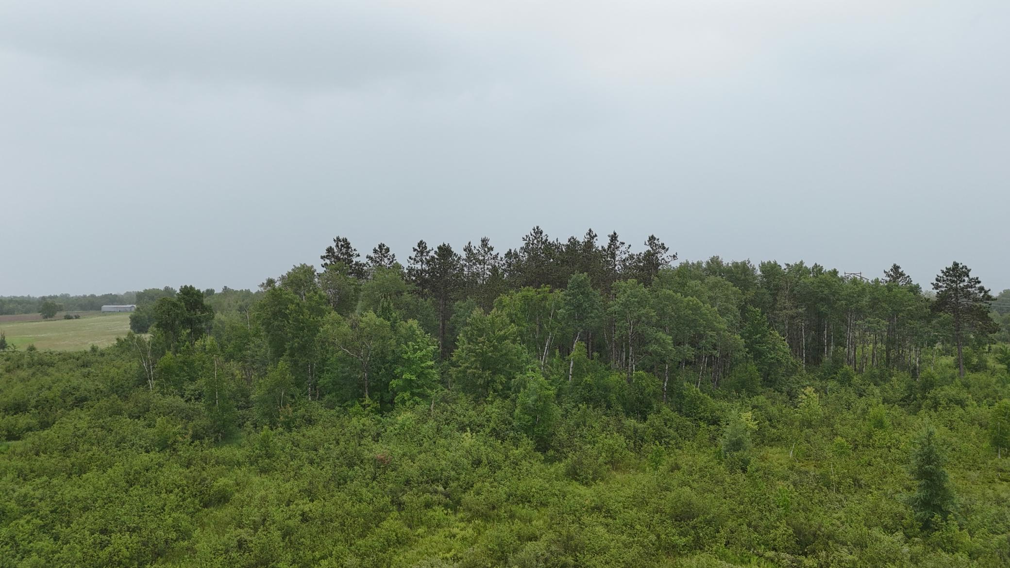 Tbd Klejeski Road Sandstone, MN 55072 - Photo 28 of 32