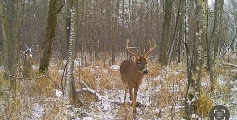 $650,000 | 12776 222nd Court, Elk River, MN 55330