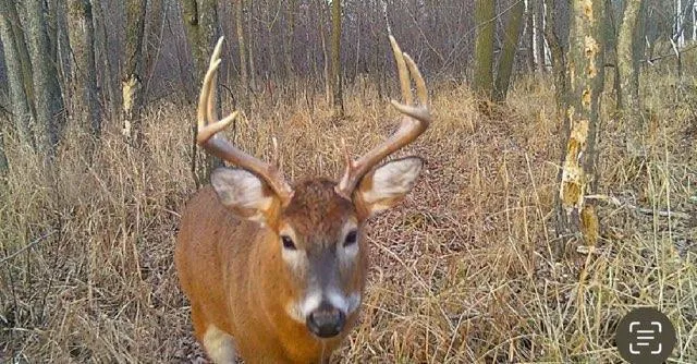 $650,000 | 12776 222nd Court, Elk River, MN 55330