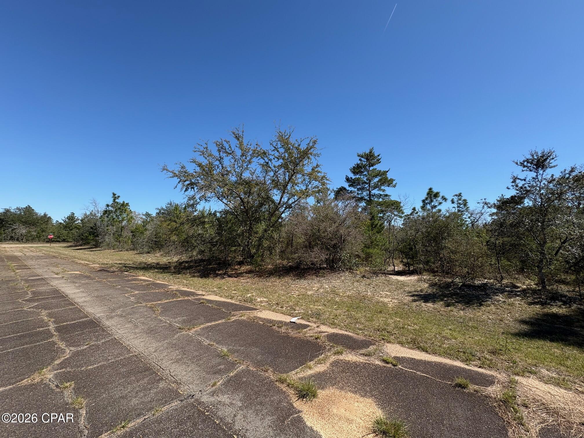 Lot 13 Windmill Street Chipley, FL 32428 - Photo 3 of 5